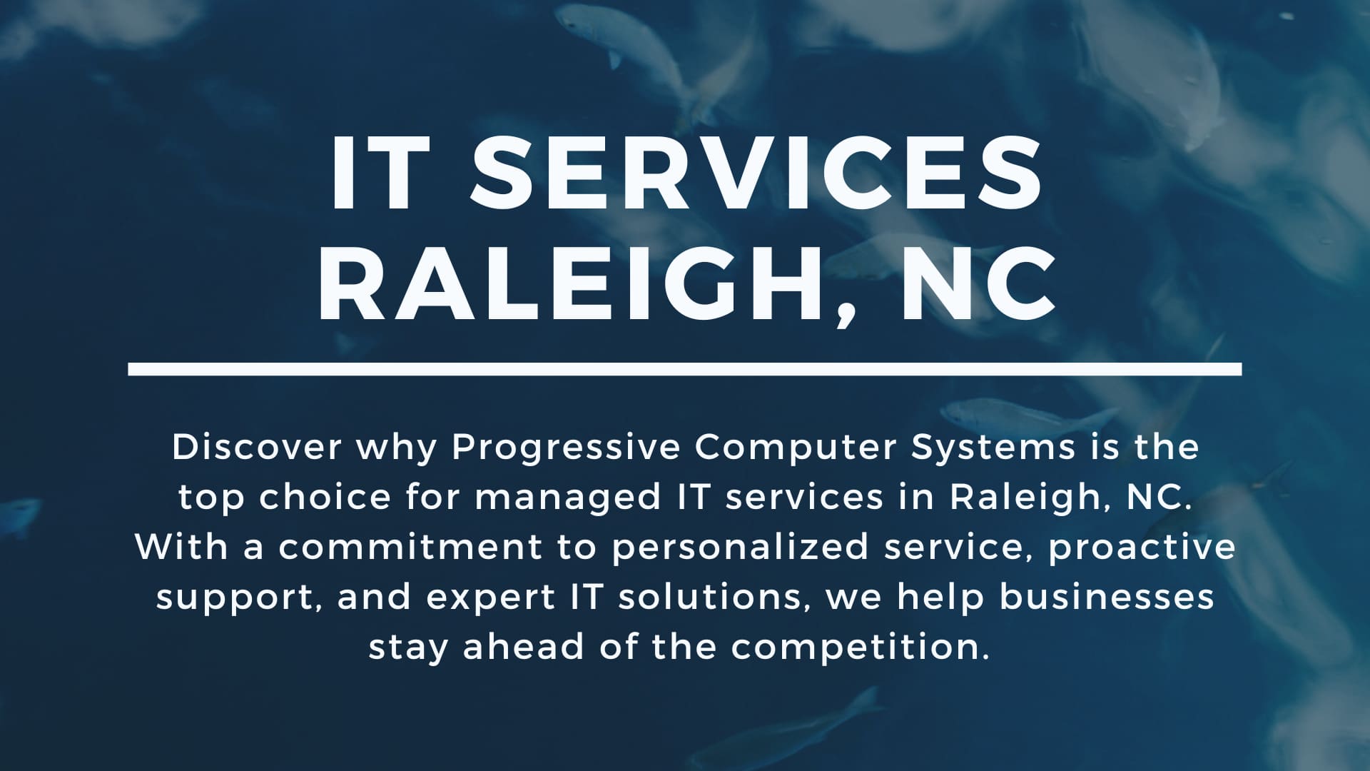Raleigh IT Services by Progressive Computer Systems