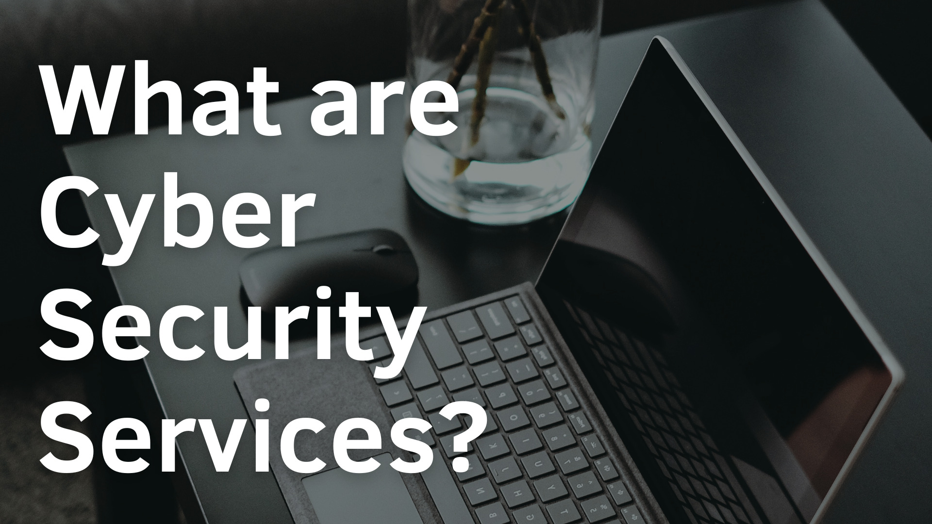 What are Cyber Security Services?